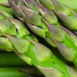 Men's health and wellness benefits of asparagus